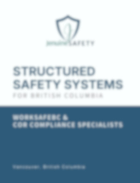Structured safety systems