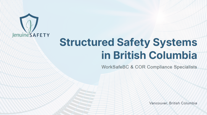 Safety Management Systems